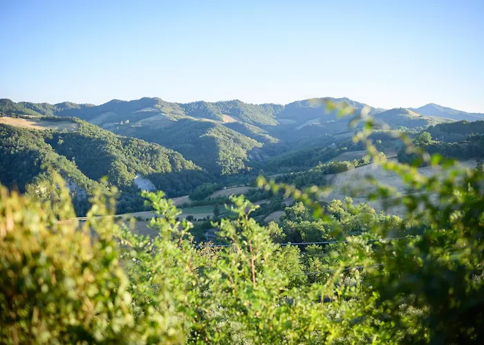 Apartament Casetta Sulle Colline Del San Giovese
